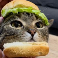 la PC de Henry Cavill 💜💚💗 (@xandreaeaea) 's Twitter Profile Photo