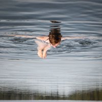 Mirja Paljakka (@mirja_paljakka) 's Twitter Profile Photo