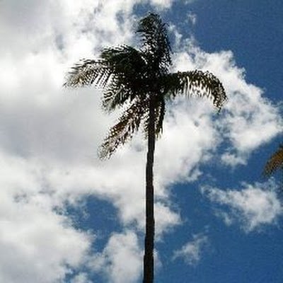 b_yager's profile picture. 