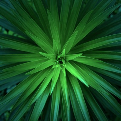 Man1234Of's profile picture. Am simple