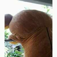 みつぐ (@1sebgankt1xov7h) Twitter profile photo