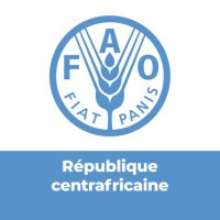 FAO en République centrafricaine(@FAOCentrafrique) 's Twitter Profile Photo