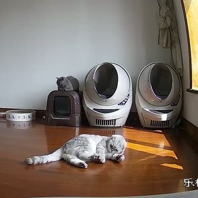 fredafrica2018's profile picture. 