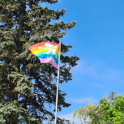 merdePfist's profile picture. 