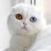 я не він (@aftandi86467046) Twitter profile photo я не він (@aftandi86467046) Twitter profile photo
