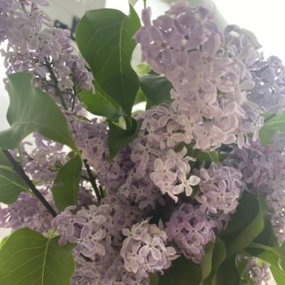 aksymelikee's profile picture. 11.07.2021🤵🏼‍♂️👰🏾‍♀️ AÜSH 📚