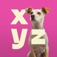 XYZReviews (@reviews_xyz) 's Twitter Profile