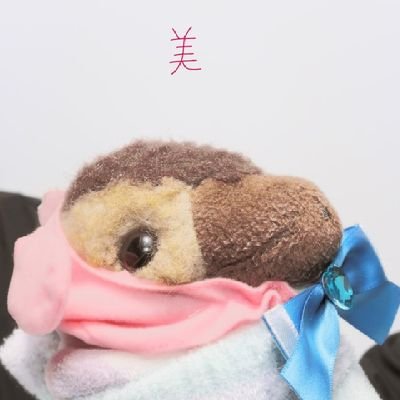 カルちゃんの日常をアップしてきます💝
写真を撮るのが好きです📸❤
ひっそり中島健人君のファンしてます🐱ᩚ
仲良くしてください😊
いんすたグラムもたまーーに更新してます❤