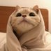القط المشمشي بيخربش بس مش اوي (@gemininagi) Twitter profile photo القط المشمشي بيخربش بس مش اوي (@gemininagi) Twitter profile photo