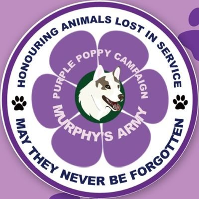 Service Liason Manager and Trustee at Murphy's Army. Poppy distributer to service animals 🥰💜💜💜💜