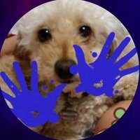 メープル (@hsj2022) 's Twitter Profile