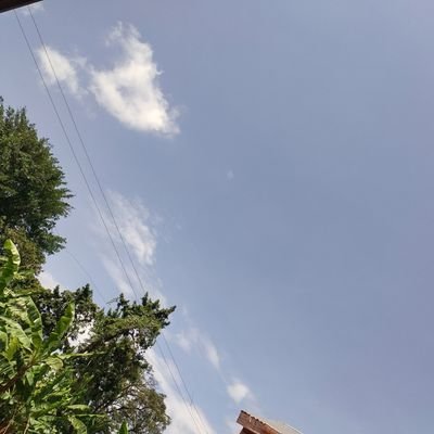 Dnaikesa2's profile picture. No matter d situation have hope n stay positive