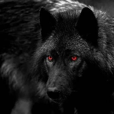 NCertezza's profile picture. Vivere è abbracciare l'impermanenza