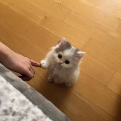 ickydaddy666's profile picture. horny mf