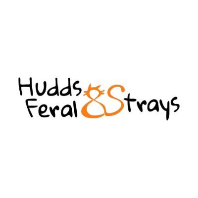 HDFeralandStray's profile picture. Registered Charity with volunteers who help rescue, rehabilitate and rehome, feral, stray, abused and abandoned  cats and kittens in the Huddersfield area.