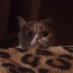 Ева Варгас (@evavarg56973091) Twitter profile photo Ева Варгас (@evavarg56973091) Twitter profile photo