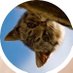 無断転載アカウントにコメントしてる人をいいねするbot Profile picture