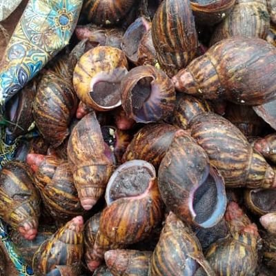 AzukaPaul5's profile picture. realtor