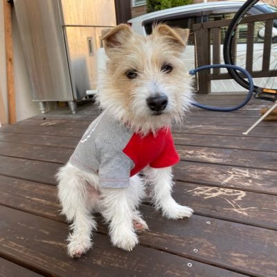 wtnanbejo's profile picture. ロアッソ熊本、熊本ヴォルターズ、熊本サラマンダーズ 、フォレストリーヴズ熊本、水俣ユニオンフットボールウイメン、生まれ育った熊本の地に、熱く応援できるスポーツチームがある幸せ！無言フォローお許しください。無言フォロー歓迎です。