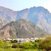 منصة نخال الإعلامية📝 (@nikhal_news) Twitter profile photo