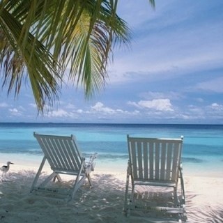 cfootitt's profile picture. 