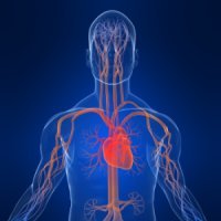 UK Endovascular Trainees. We organise endovascular skills training for cardiology, radiology and vascular trainees. Safe Access, Safe Navigation, Safe Closure