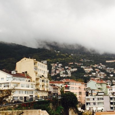 alroood's profile picture. لَا تَجْـعَلٌّ قَلْبِـكُ مِثْلَ آَلَنَّهْرِ يَشْرَبُ مِنْہ مِنْ يشااء