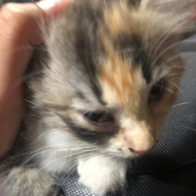 minnieさんのプロフィール画像