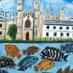 Cichlid Science 2022 (@cichlid2022) Twitter profile photo Cichlid Science 2022 (@cichlid2022) Twitter profile photo