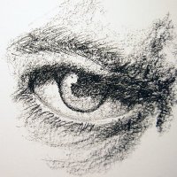 Matt Connolly (@mattcon90191238) 's Twitter Profile