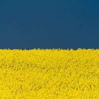 mein Krakau 🇵🇱 🇩🇪 🇺🇦 🇬🇪 🇮🇱 🦫 🐉🐻 (@meinkrakau) 's Twitter Profile Photo