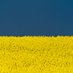mein Krakau 🇵🇱 🇩🇪 🇺🇦 🇬🇪 🇮🇱 🦫 🐉🐻 (@meinkrakau) Twitter profile photo mein Krakau 🇵🇱 🇩🇪 🇺🇦 🇬🇪 🇮🇱 🦫 🐉🐻 (@meinkrakau) Twitter profile photo