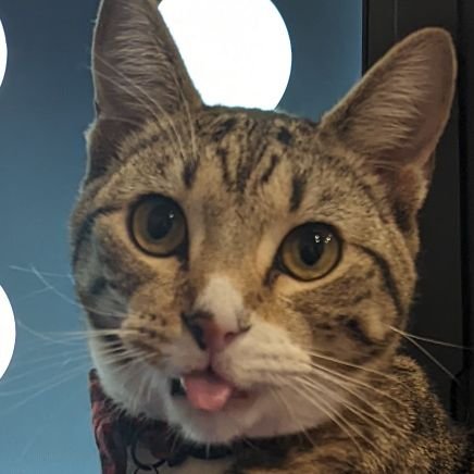 AstroBox64's profile picture. He/Him