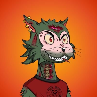 iroam72's profile picture. 