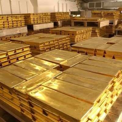 neofoo23's profile picture. 