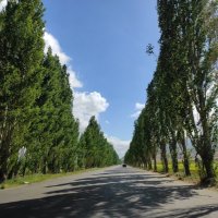 JASIM SHAJANAH🇴🇲 (@_xo11ll) Twitter profile photo