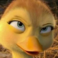 BrexitDuck(@BrexitDuck) 's Twitter Profile Photo