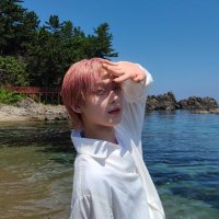 ♡🦋 (@soleil_ace) 's Twitter Profile