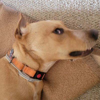 Bike4K613's profile picture. Strategic Marketing & Sales Coordinator for Neurodiversity Alliance