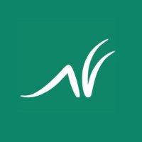 Grasshopper Bank (@grasshopperbank) 's Twitter Profile