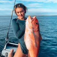 Cindi (@cindisparadise) 's Twitter Profile