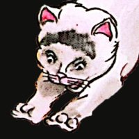 xallith (@xaxallith) 's Twitter Profile Photo