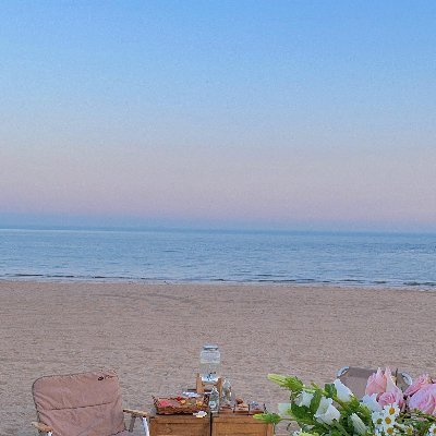 MetaCity2077's profile picture. 