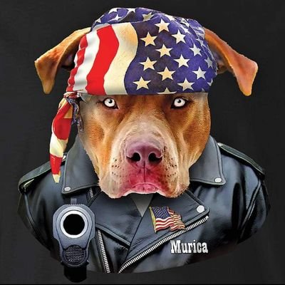 PATRIOT PITBULL PREACHER I’M  LIKE JACK REACHER, BUT I’LL DO IT WITH A BIBLE BECAUSE IM A PREACHER !!!      ❤️🇺🇸🎚️🙏🔥