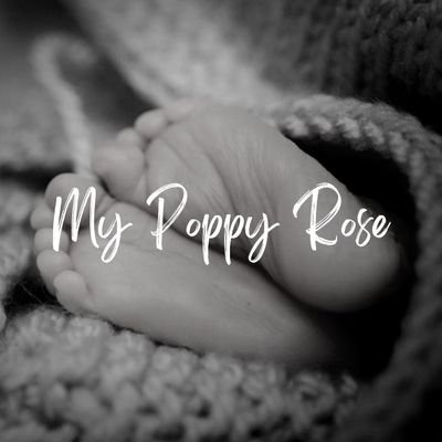 My Poppy Rose
