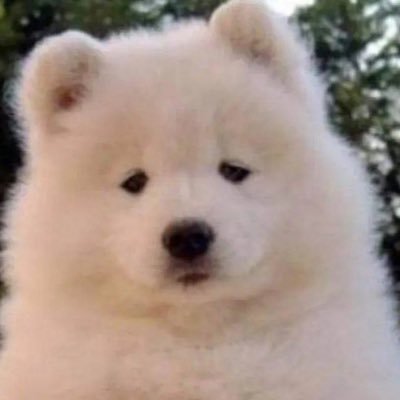 nichijio's profile picture. Photographer, Singer, World citizen