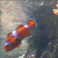 Aled Gravell (@aledoaledo) 's Twitter Profile Photo