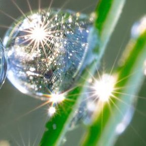 Liana84596975's profile picture. 