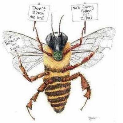 Hilton8Melody's profile picture. 