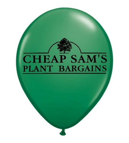 CheapSams's profile picture. Full stock nursery incl container and B&B evergreen, shade, & ornamental trees, perennials, annuals, roses, exotic plants, grasses, seed, & hardgoods.